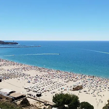 Sweet Concorde T1 * ポルティマン